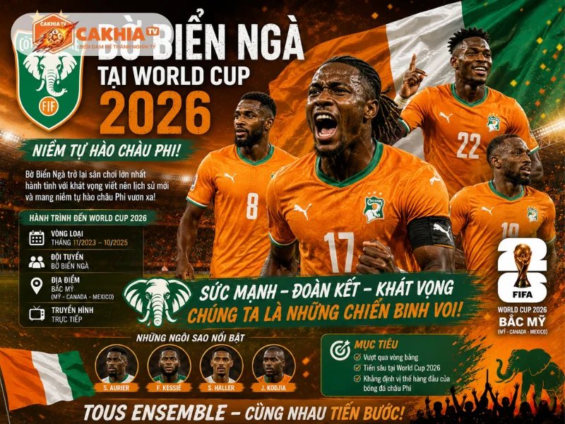 Phân tích đội bóng Bờ Biển Ngà